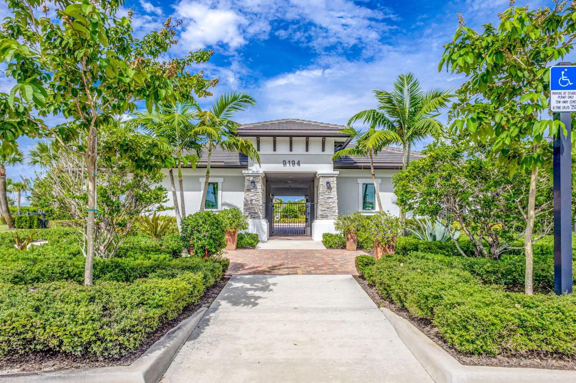 ANCIENT TREE - Residential