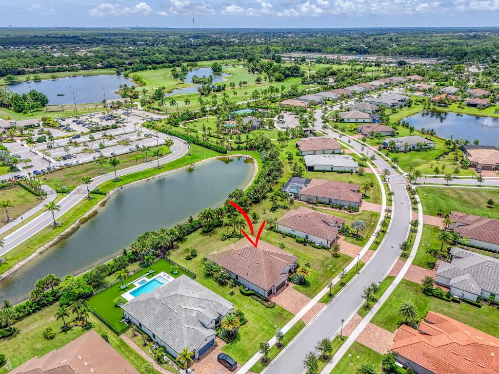 ANCIENT TREE - Residential