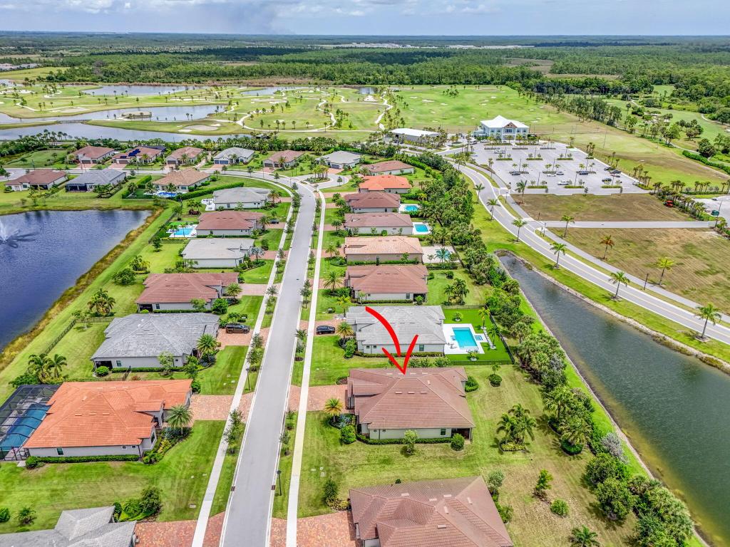 ANCIENT TREE - Residential