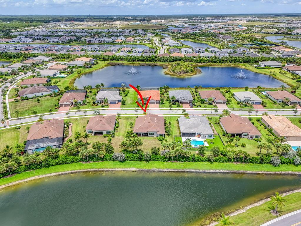 ANCIENT TREE - Residential