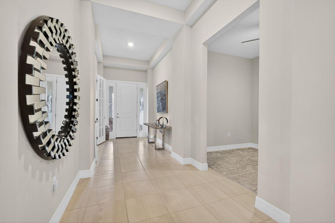 ANCIENT TREE - Residential