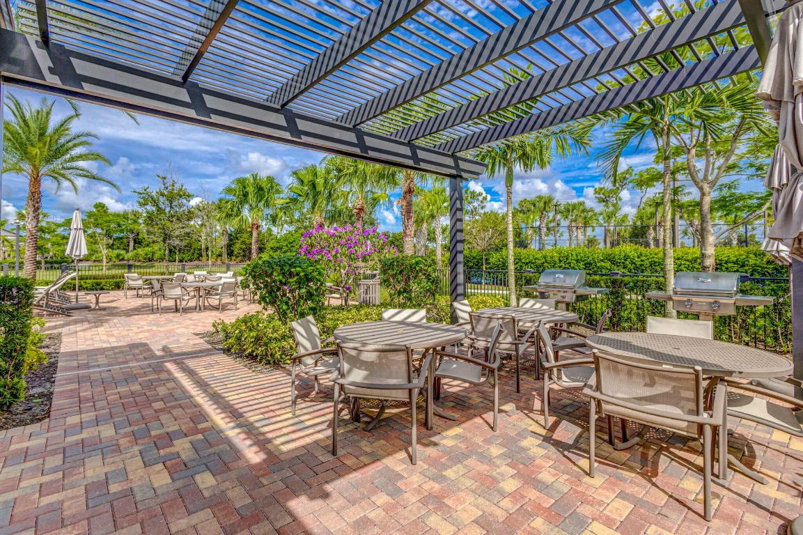 ANCIENT TREE - Residential