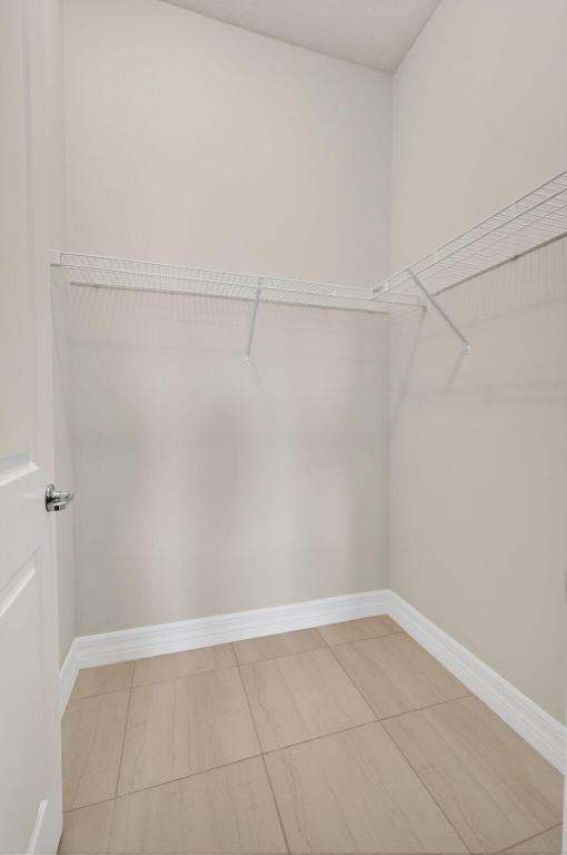 ANCIENT TREE - Residential