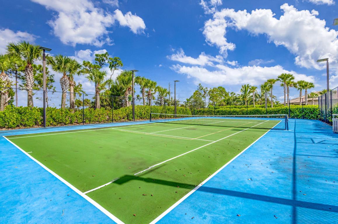 ANCIENT TREE - Residential