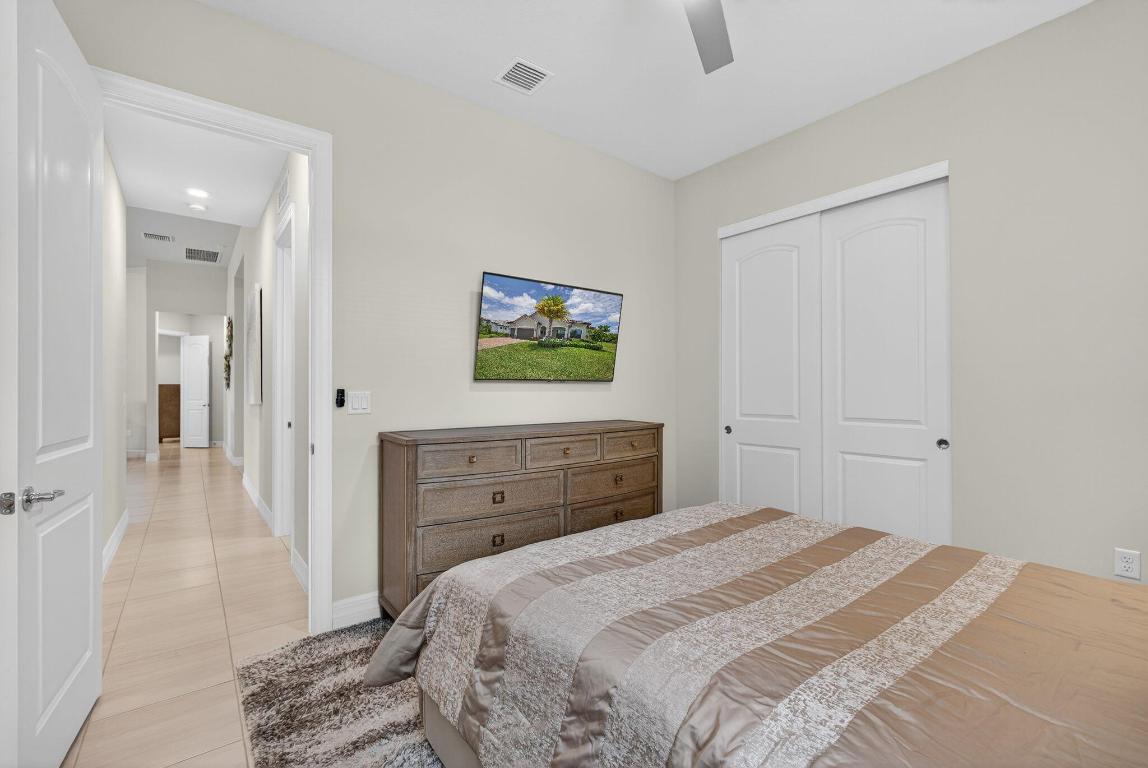 ANCIENT TREE - Residential