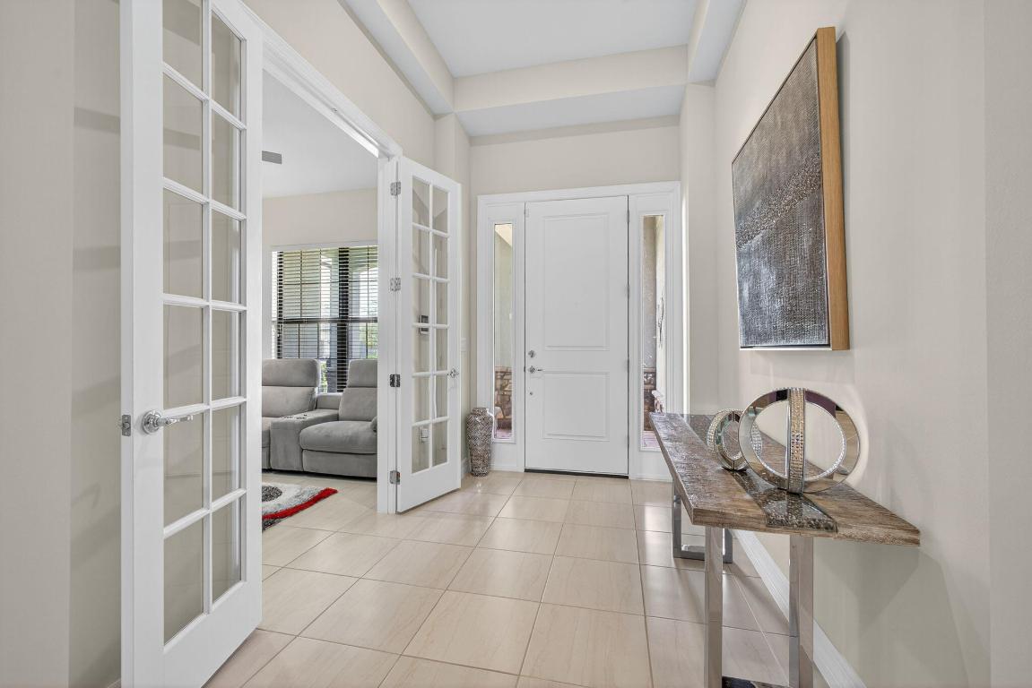 ANCIENT TREE - Residential