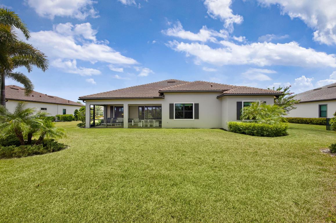 ANCIENT TREE - Residential