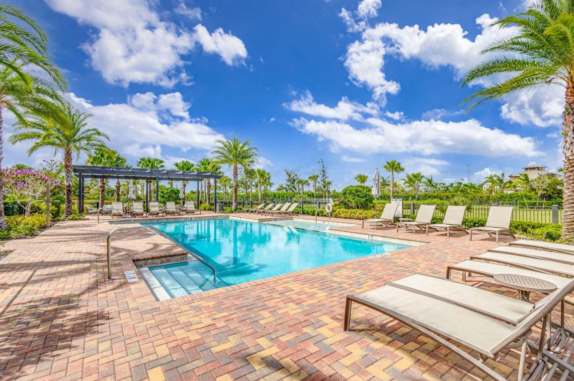 ANCIENT TREE - Residential