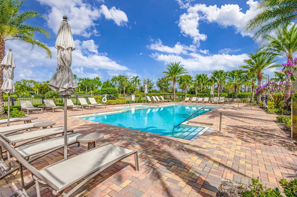 ANCIENT TREE - Residential