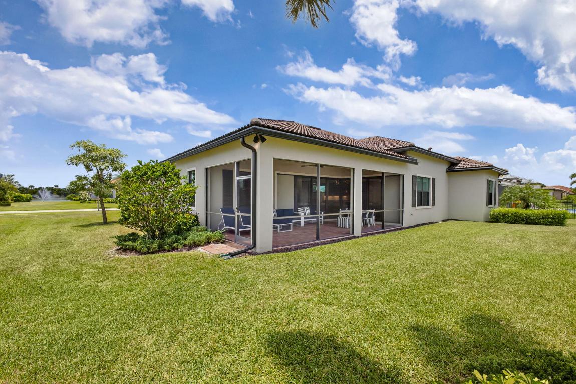 ANCIENT TREE - Residential