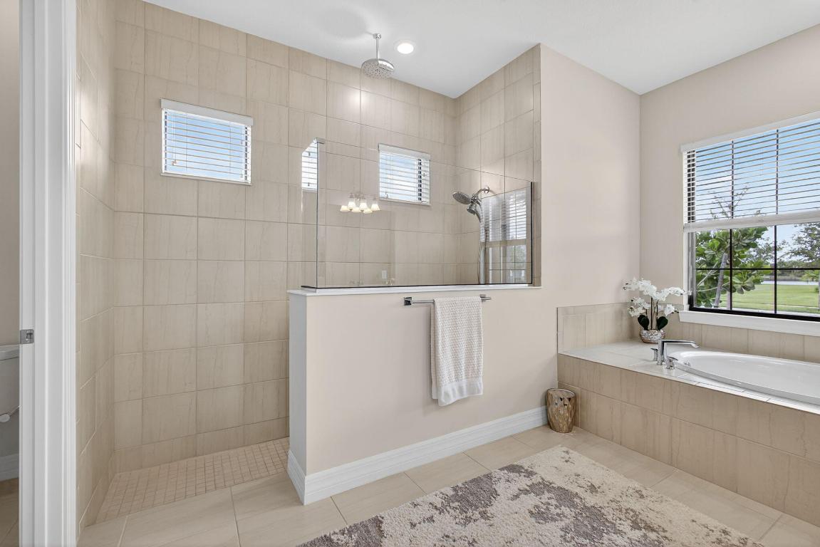 ANCIENT TREE - Residential