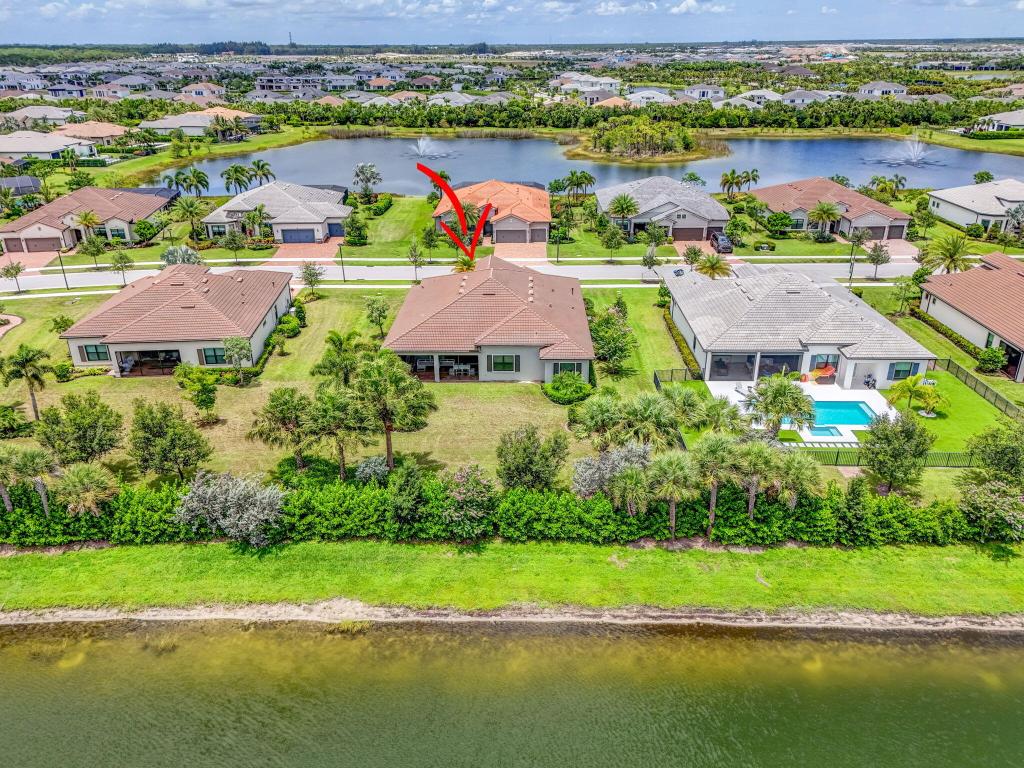 ANCIENT TREE - Residential