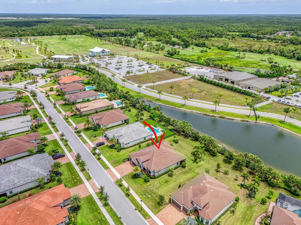 ANCIENT TREE - Residential