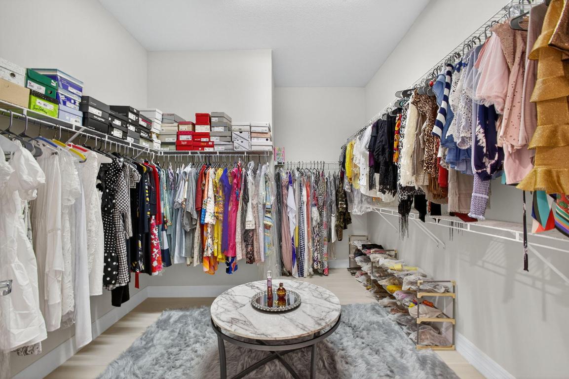 ANCIENT TREE - Residential