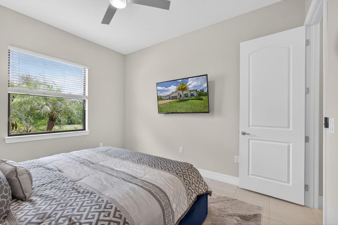 ANCIENT TREE - Residential