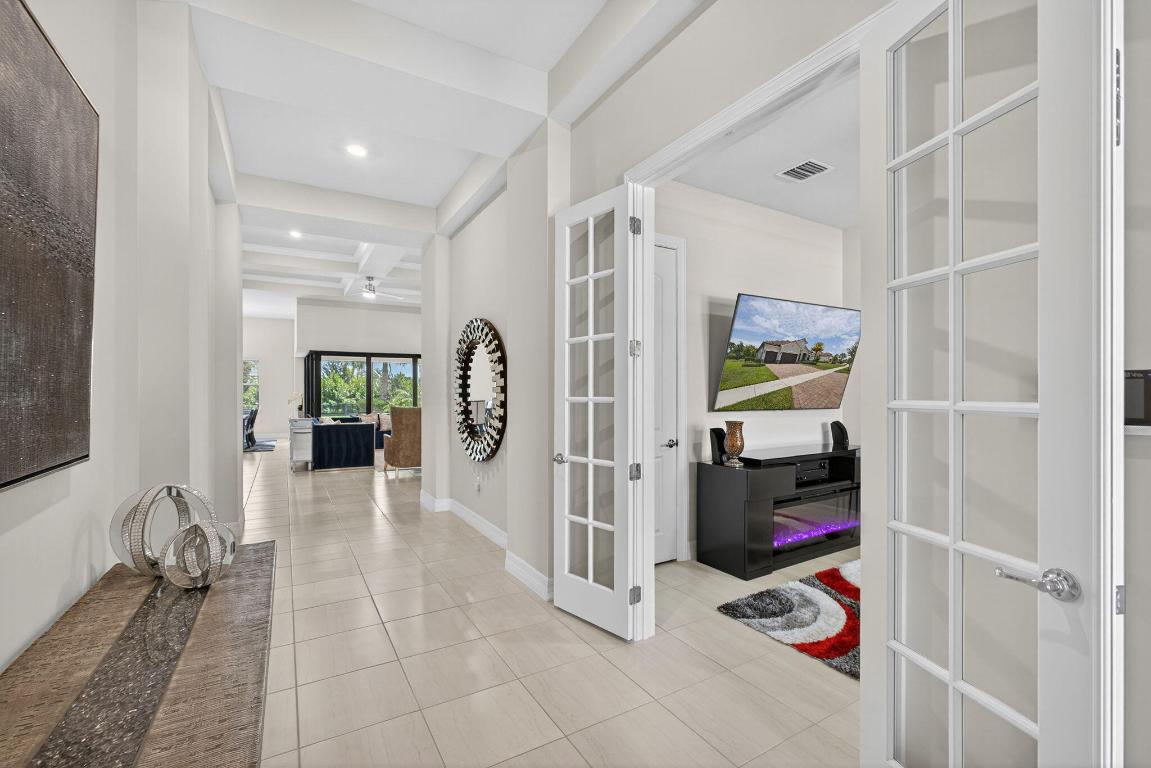 ANCIENT TREE - Residential