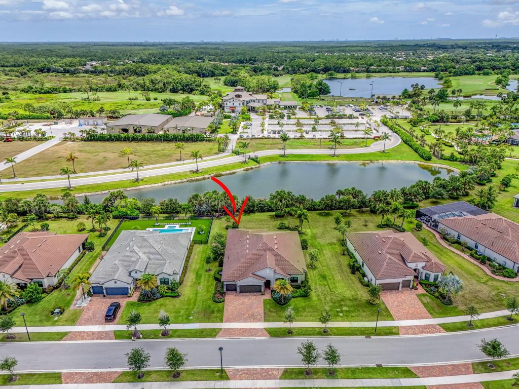 ANCIENT TREE - Residential