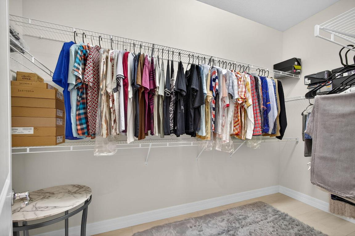 ANCIENT TREE - Residential