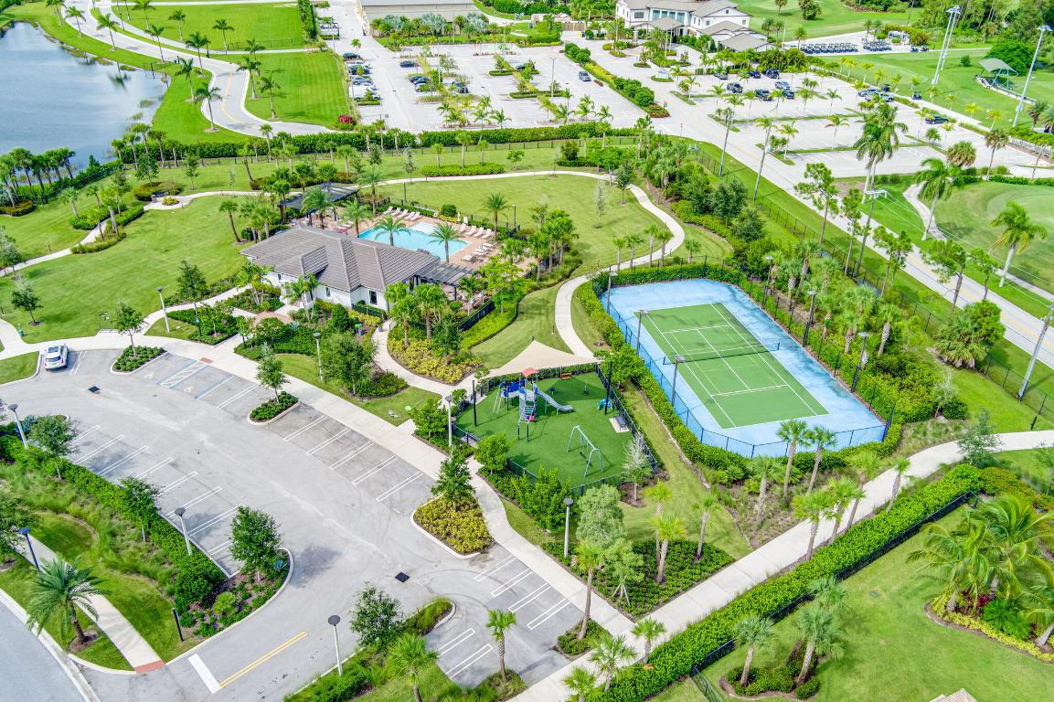 ANCIENT TREE - Residential