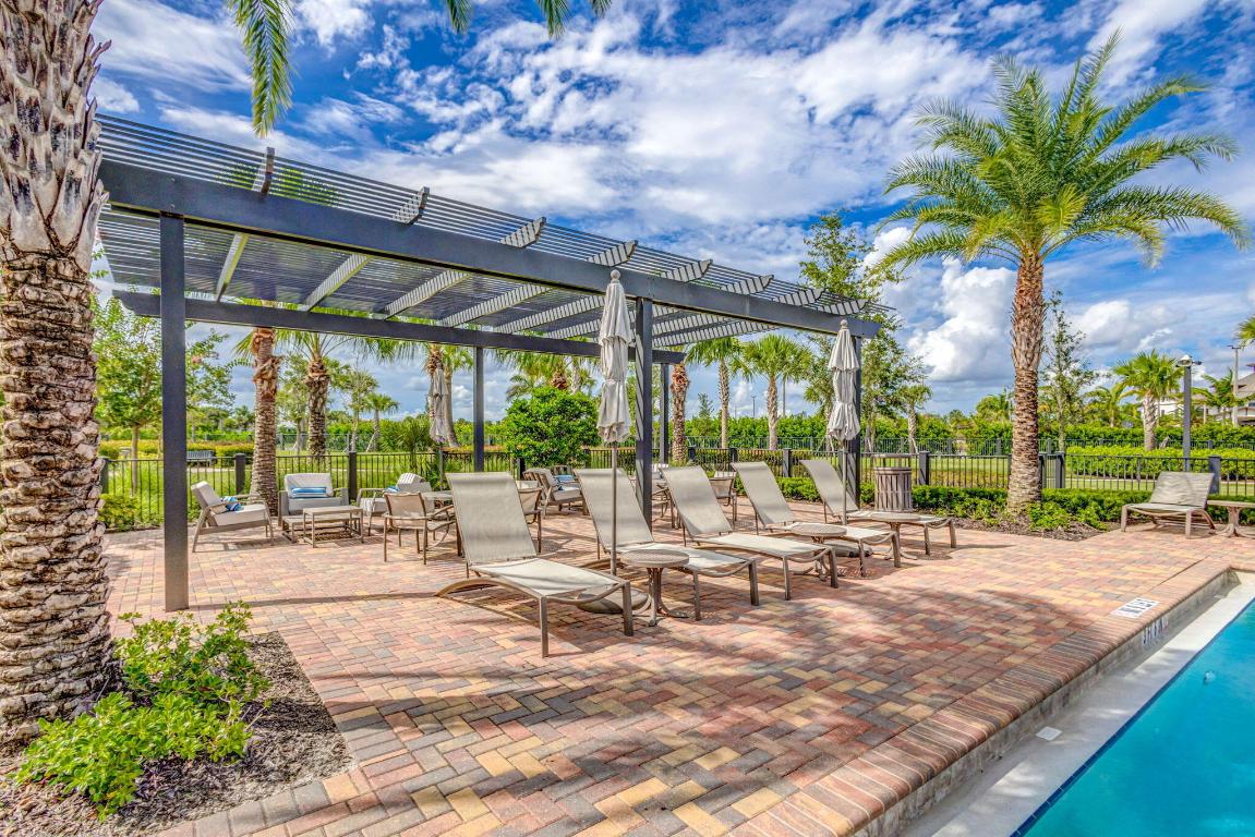 ANCIENT TREE - Residential