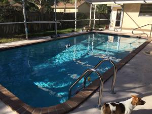 KINGSLAND PINES - Residential