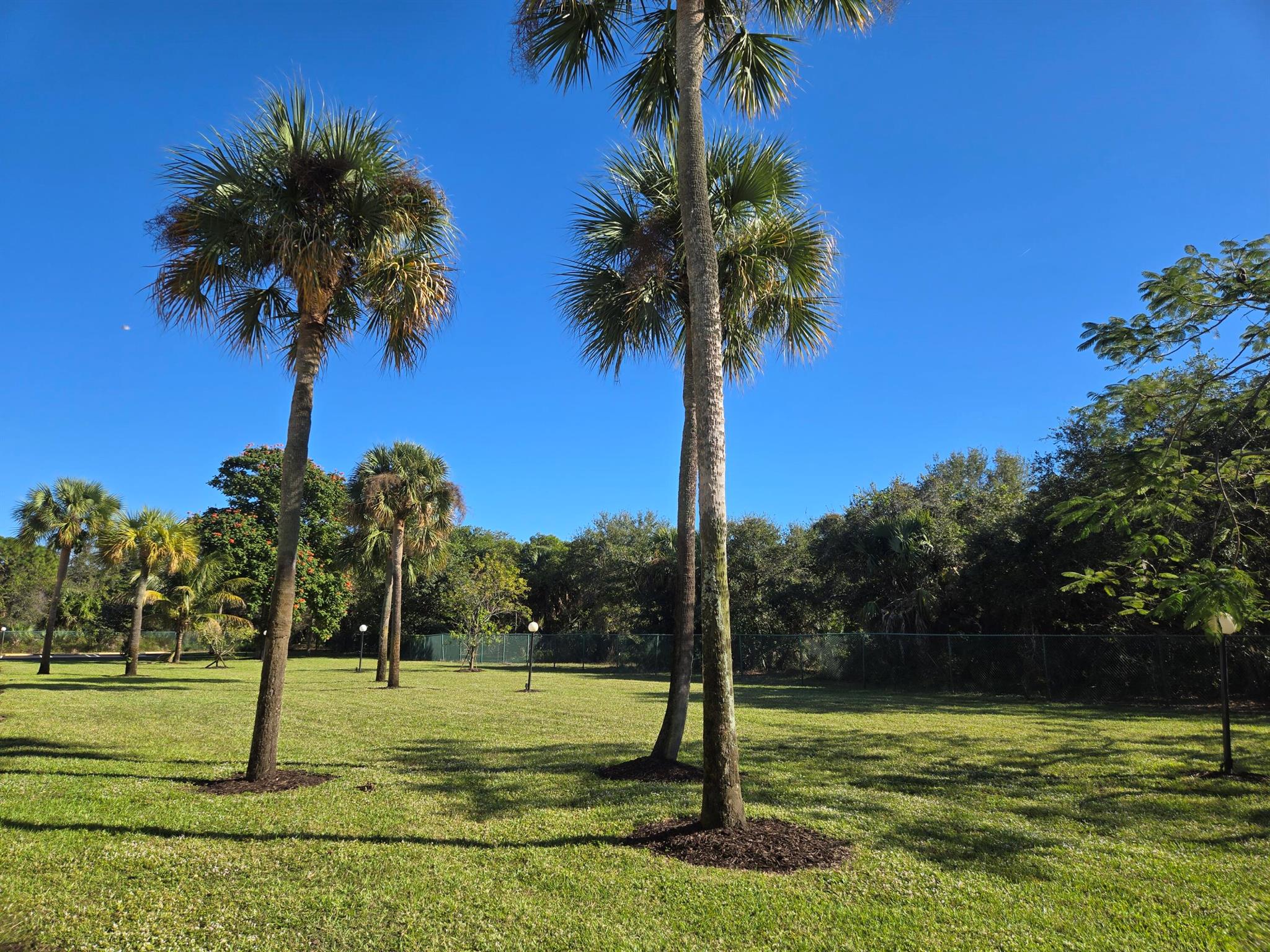 SABAL PINE EAST - Residential Lease