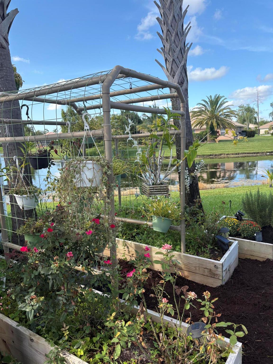 Park Central - Residential