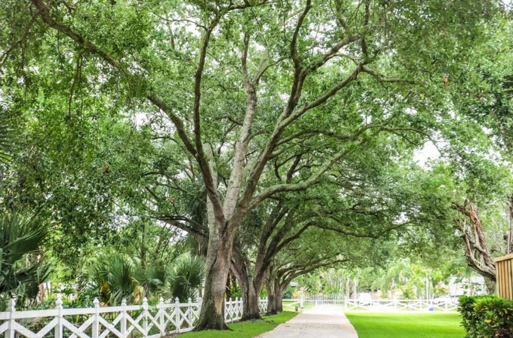 Photo of 8265 S Virginia Avenue, Palm Beach Gardens, FL 33418 (MLS # F10454853)