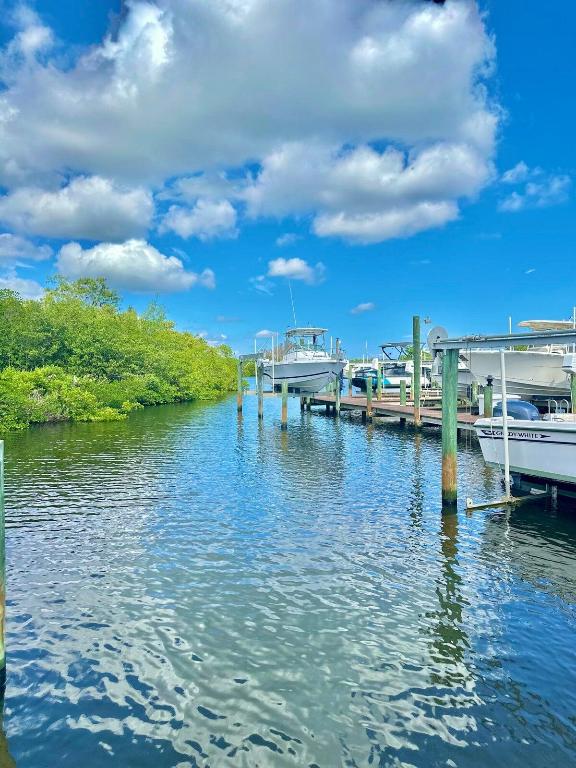 PILOTS COVE - Residential Lease