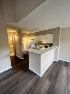 7816 Sonoma Springs Circle 207