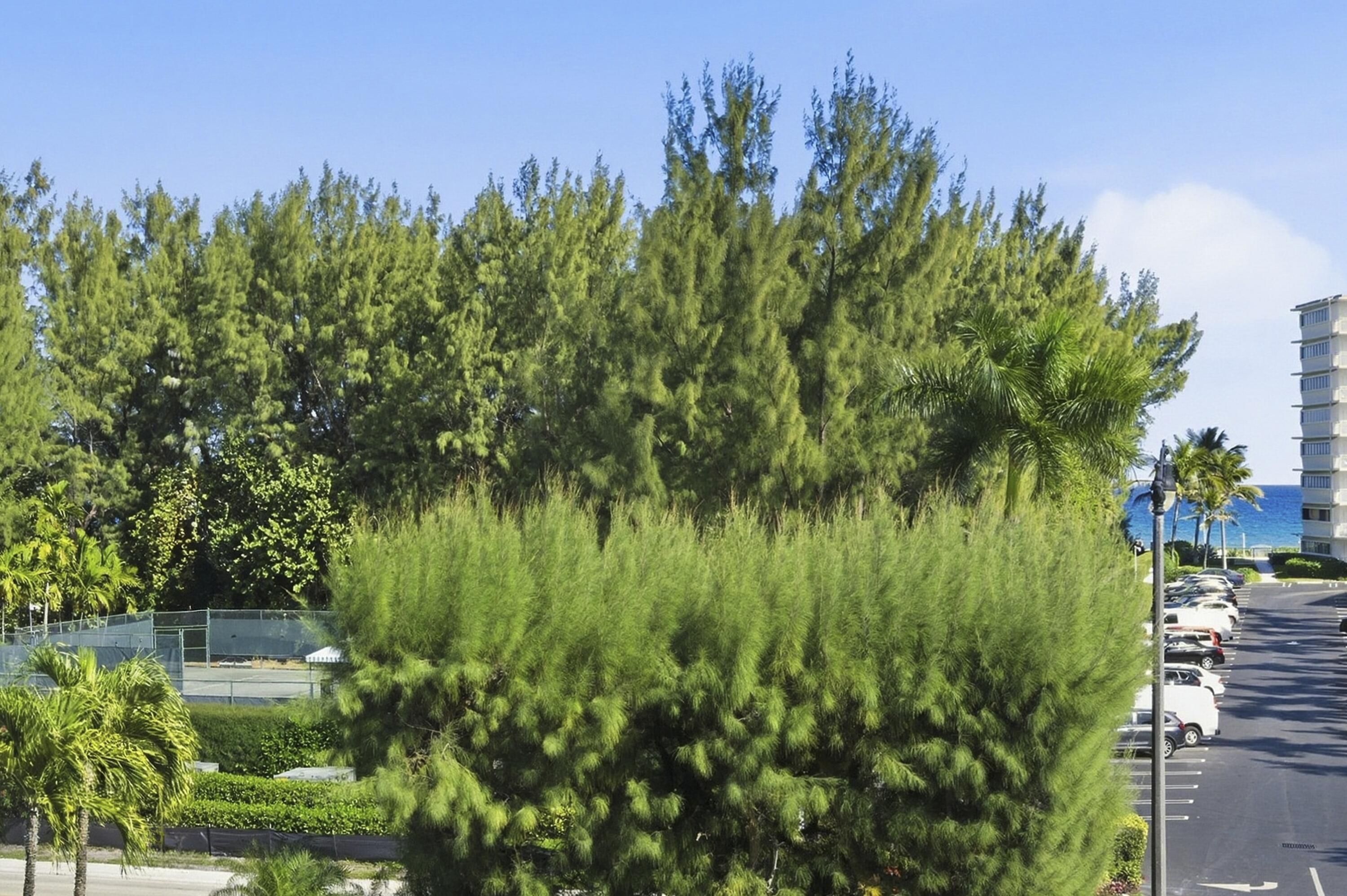 SUTTON PLACE CONDO - Residential