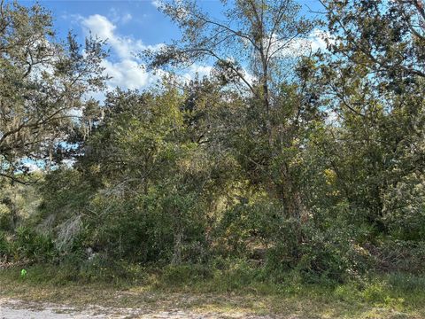 Lot 23 Blk 154 Plumosa Drive Indian Lake Estates FL 33855