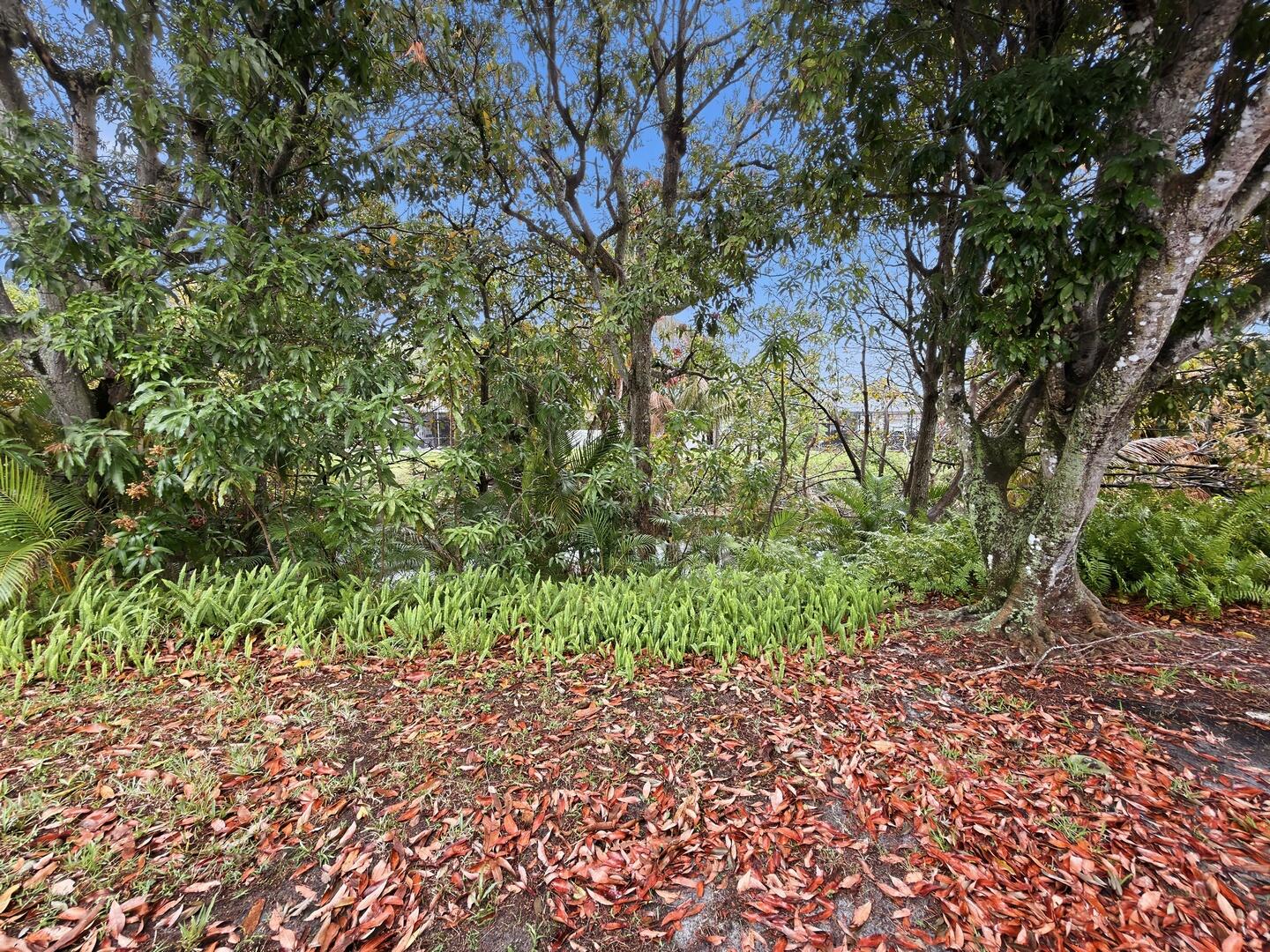 LAKE FLORESTA - Residential