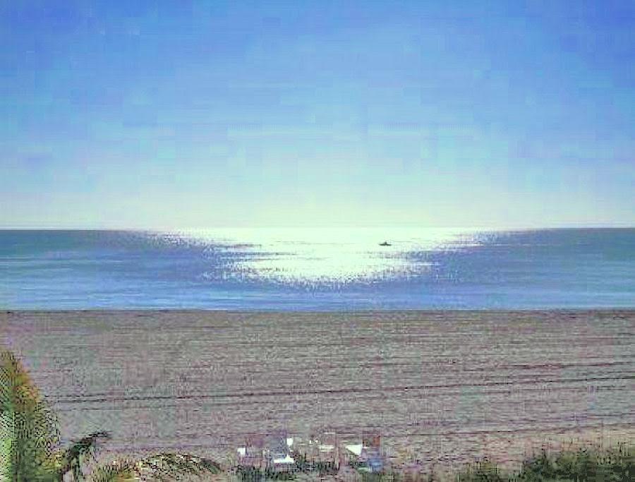 BOCA TOWERS CONDO PORTION - Residential Lease