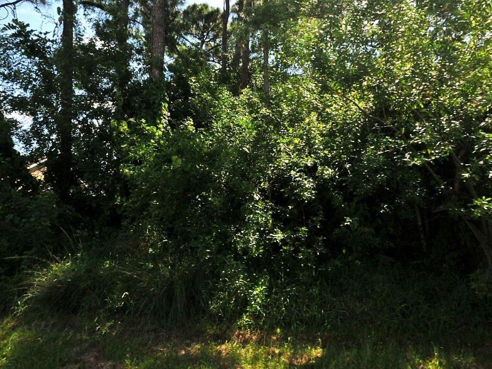 SINGLE FAMILY HOME VACANT LOT IN A VERY NICE LOCATION - NEAR SHOPPING, RESTAURANTS, AND I-95.