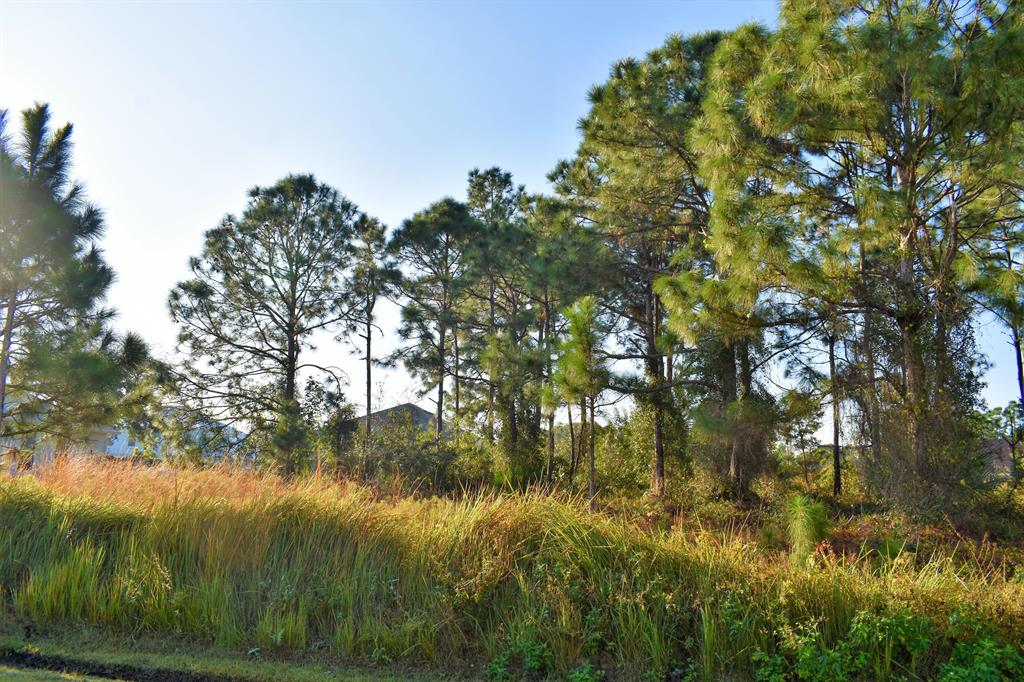 Sought after Torino area lot waiting for new home. Adjacent lot located at 5784 NW Erin Ave also for sale at $79,000 MLS# RX-10687570to combine for double lot homesite. Lot located short drive to shopping, restaurants, golf, medical center, I-95 highway and Mets Spring Training Stadium.