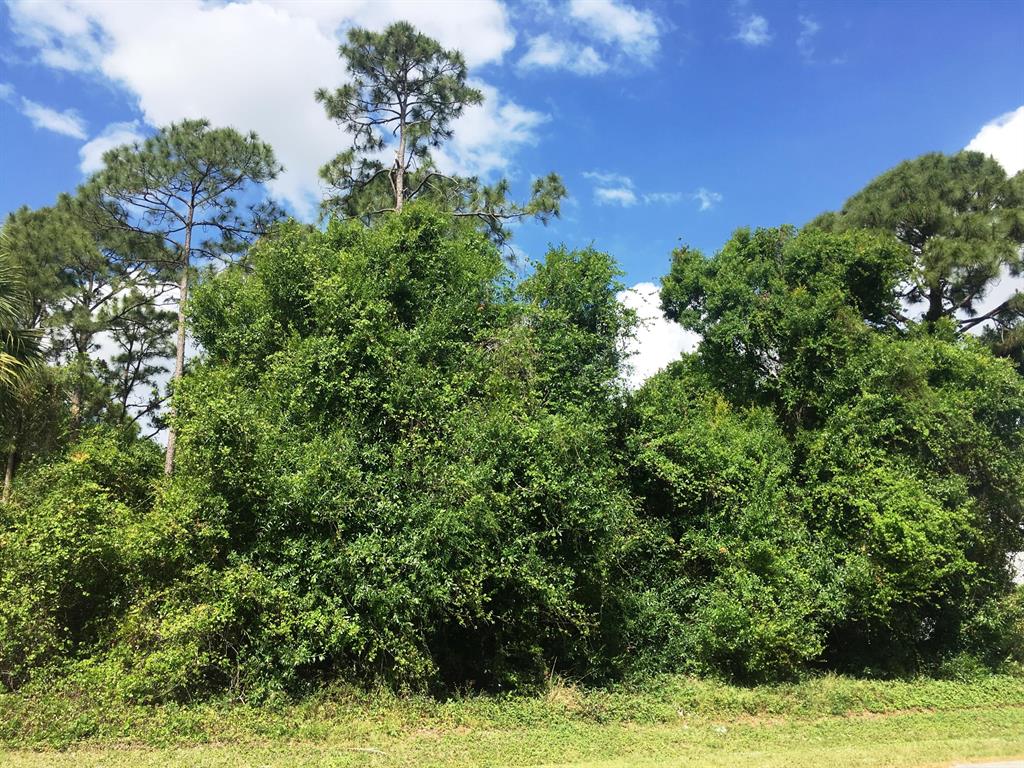 Come built your dream home on this beautiful lot in a charming, quiet neighborhood. Close to schools, restaurants and shopping. Convenient to I-95, Florida Turnpike and Crosstown Parkway.