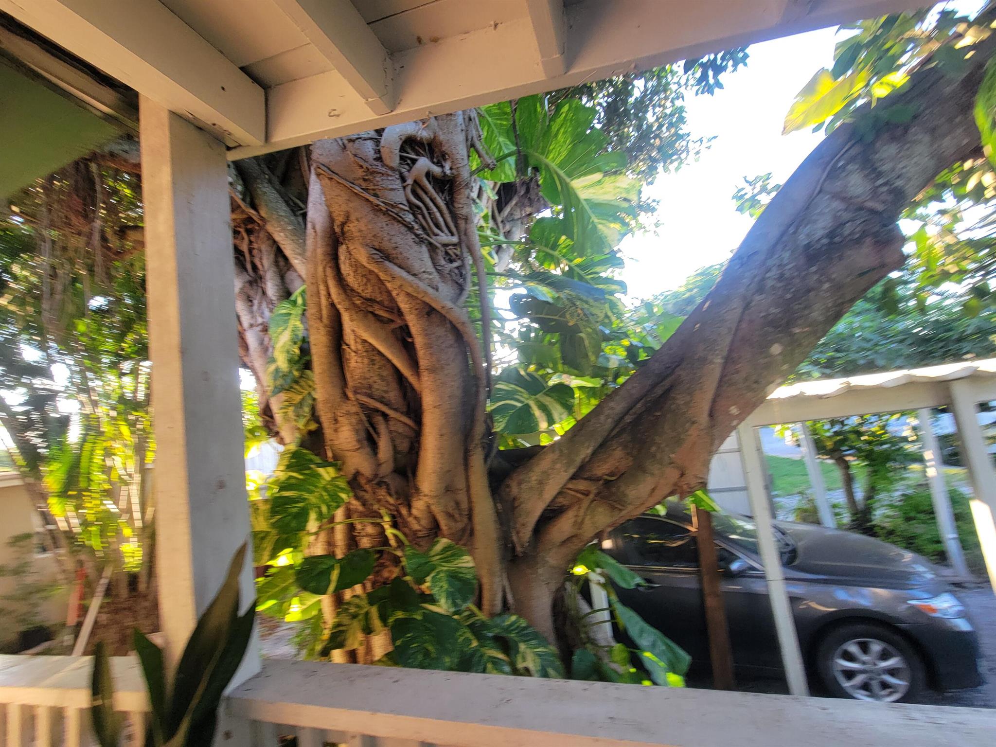 SLEEPY HOLLOW 3 - Residential