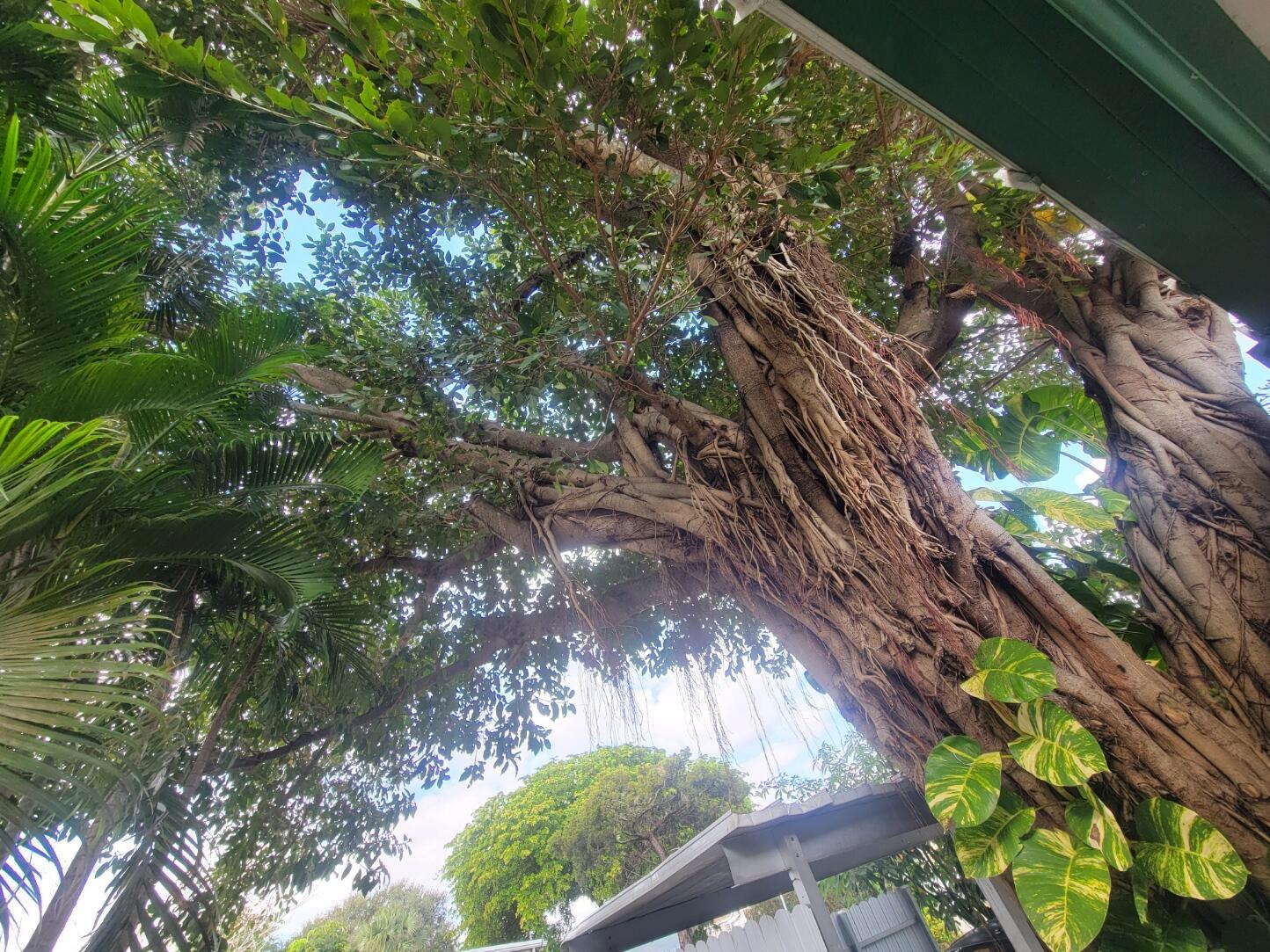 SLEEPY HOLLOW 3 - Residential