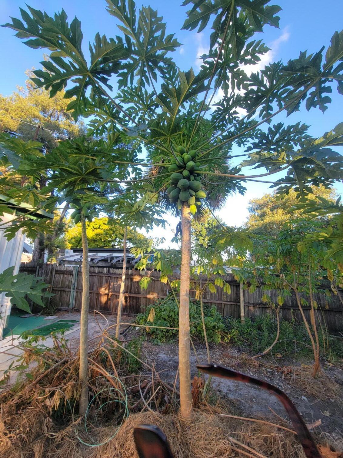 SLEEPY HOLLOW 3 - Residential