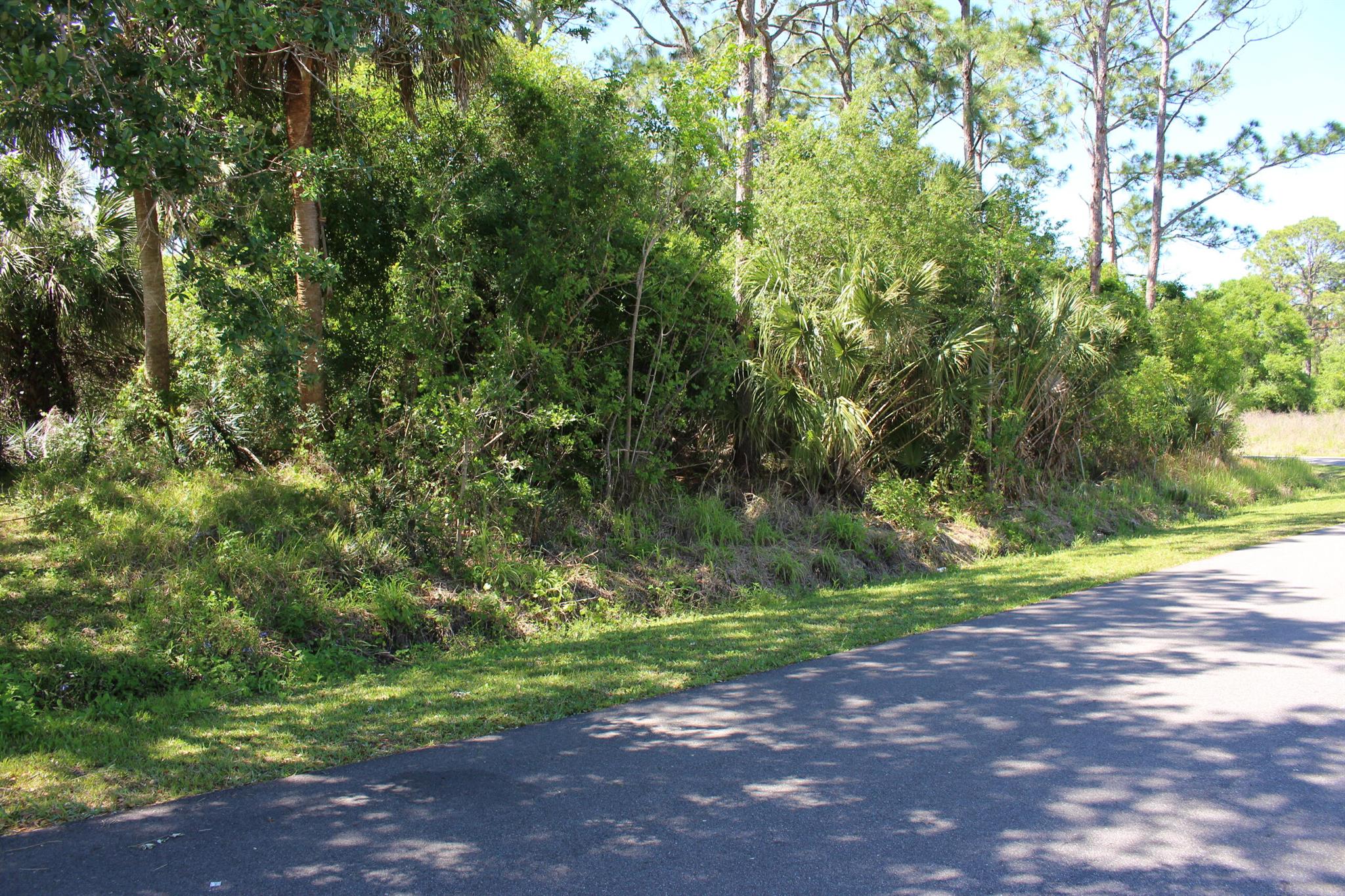 Looking to build a new home ? Look no further. Great corner lot waiting for your new construction. Located on the NW side of town, within easy access to shoppings, restaurants, I 95 and more.