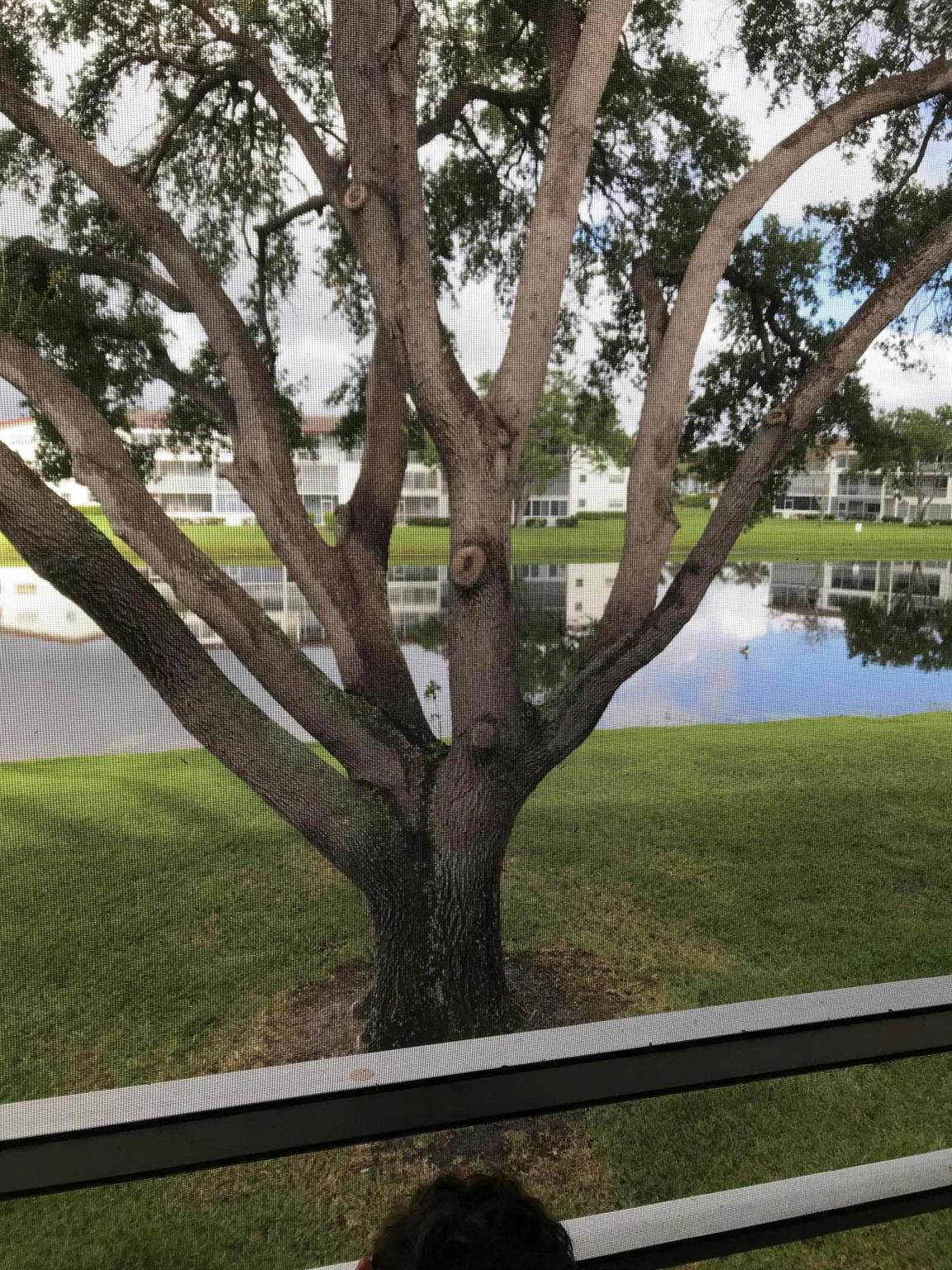 FANSHAW AT CENTURY VILLAG - Residential