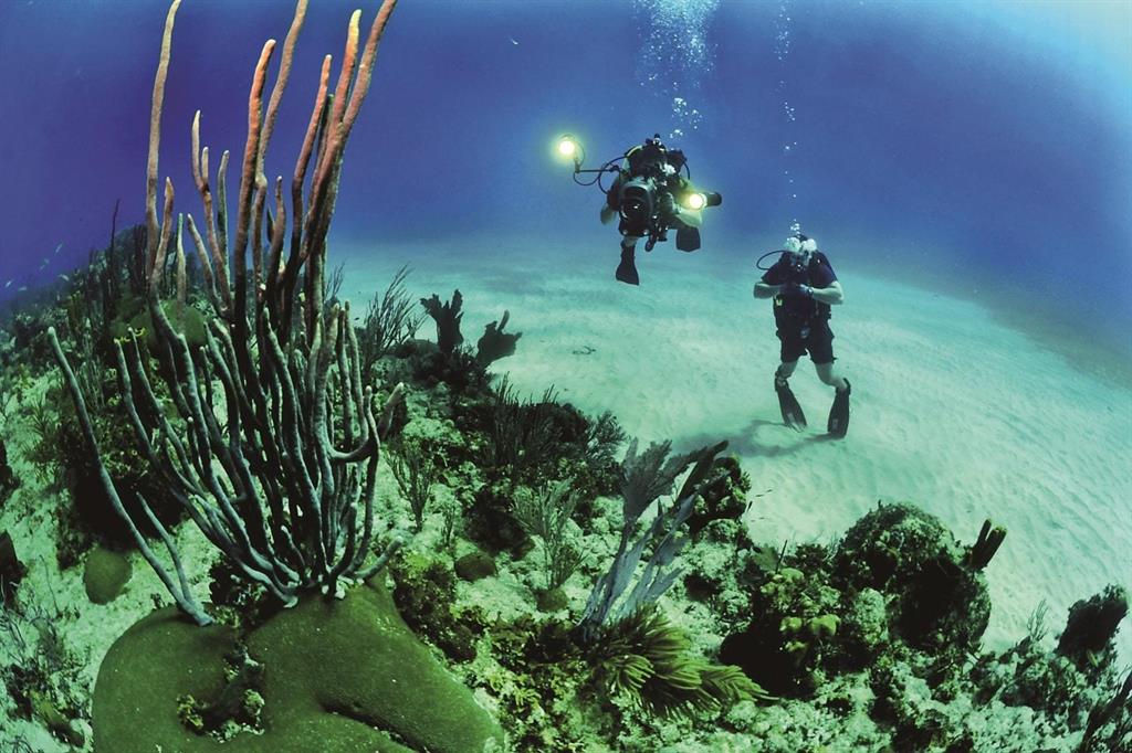 Cabarete - Amber Dune - Land