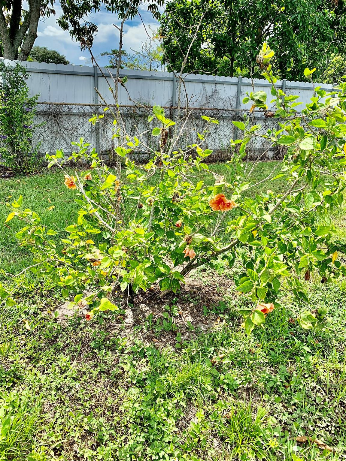 South Broward Ranches 30 - Residential Lease