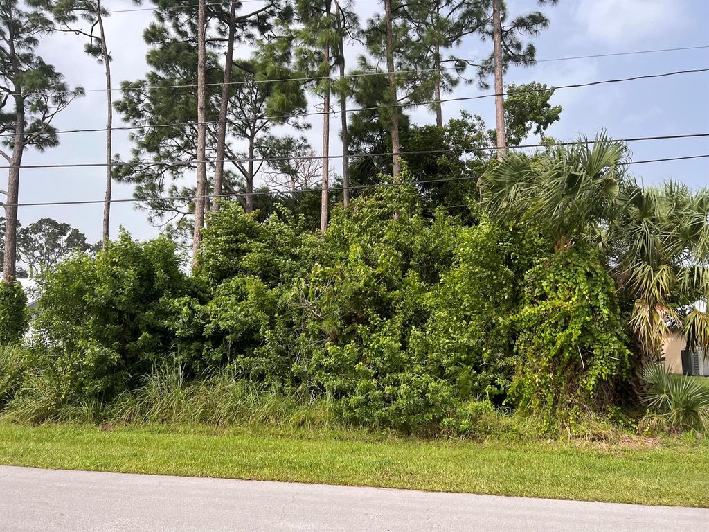 Photo of 3556 SW Zullo Street, Port Saint Lucie, FL 34953 (MLS # R10933413)