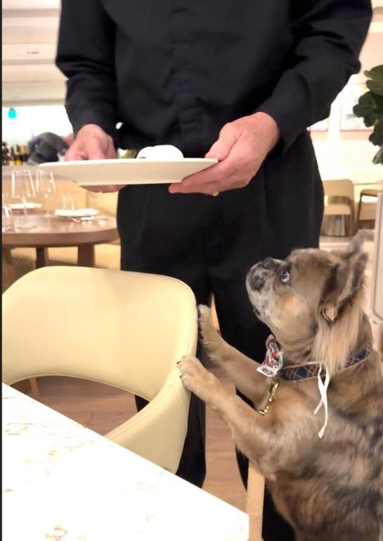 Amrit Ocean Resort & Residences - Residential