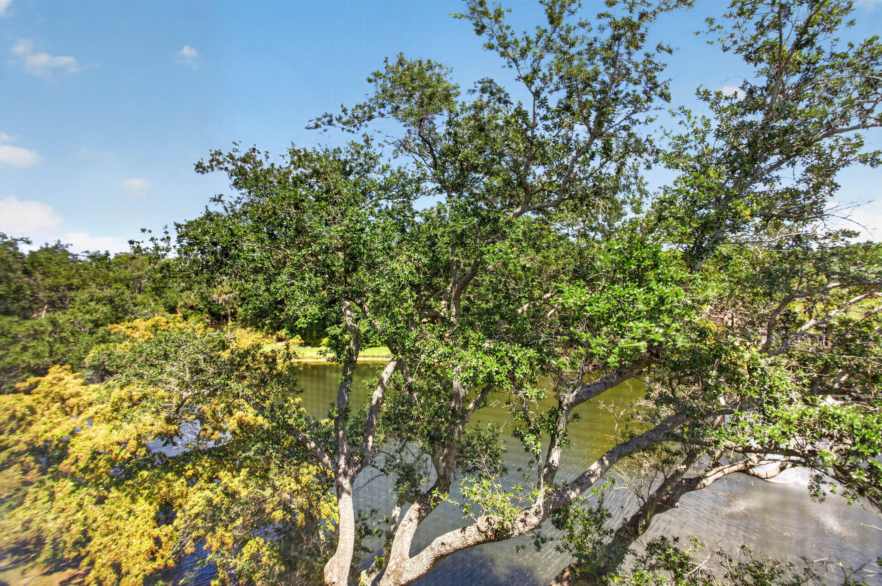 HAMMOCKS-LAKE FOREST CONDO - Residential