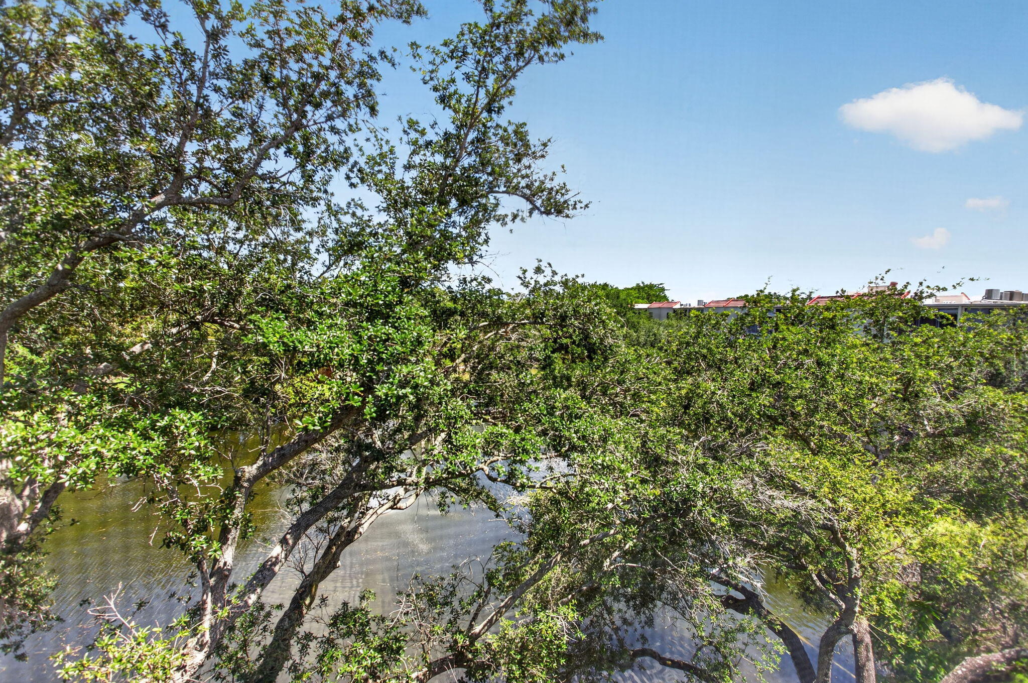 HAMMOCKS-LAKE FOREST CONDO - Residential