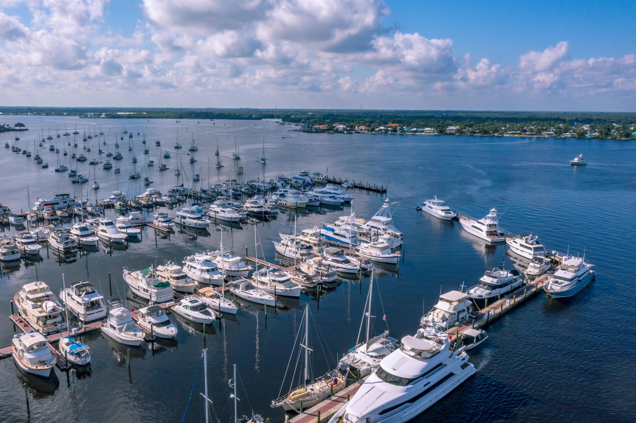 Springtree - Residential