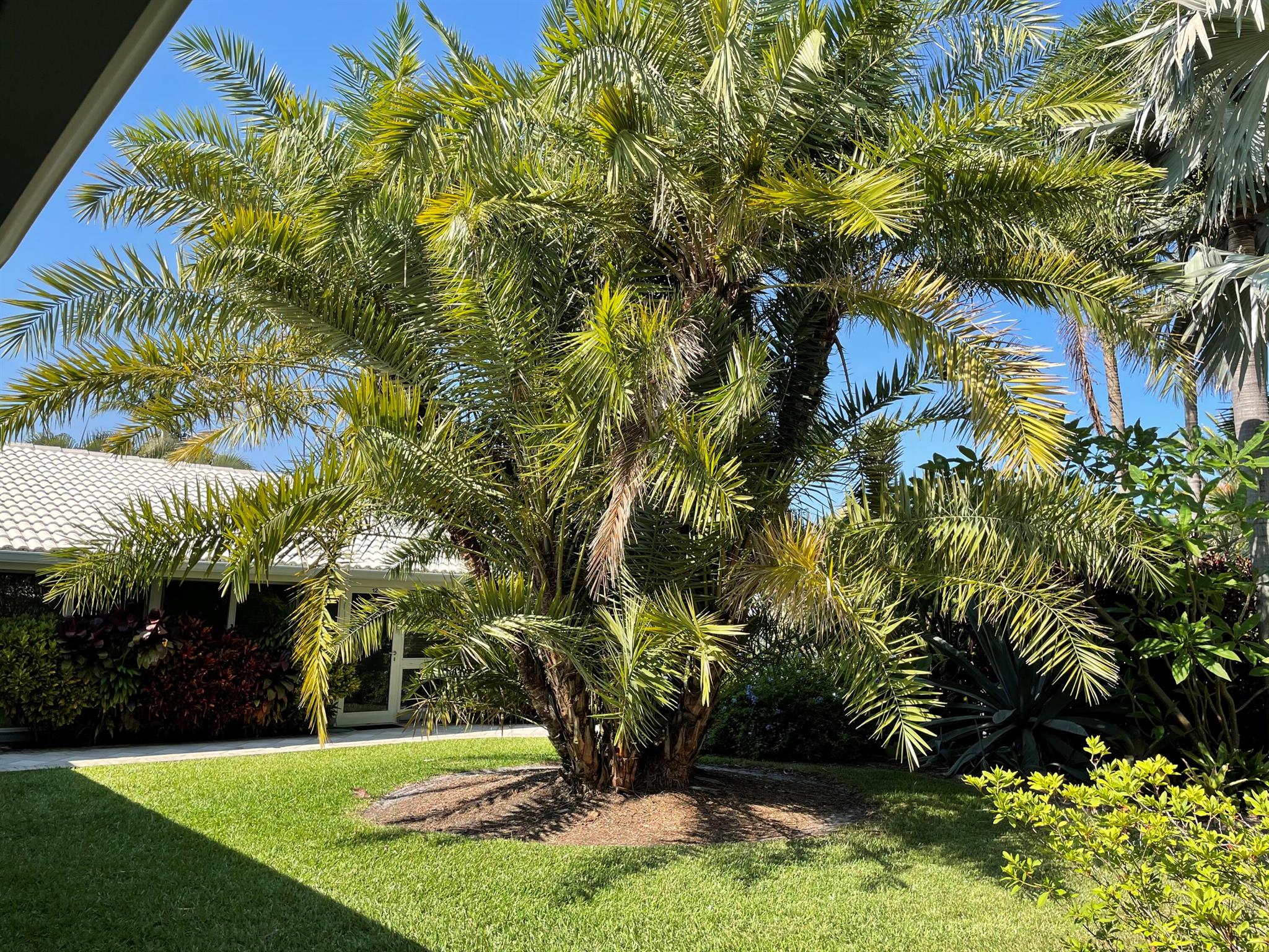 Coral Ridge - Commercial Sale